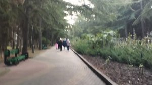 Алушта, Рождество