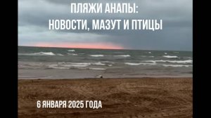 Анапа, 6 января 2025 года, пляжи, мазут и птицы