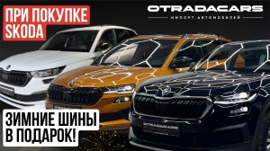 При покупке SKODA KODIAQ или KAROQ из наличия, зимние шины в подарок