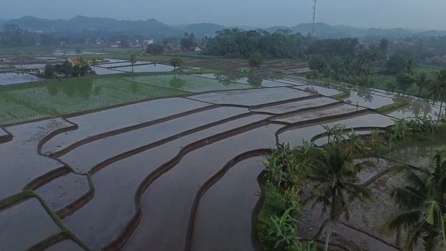 Kejutan DJI Mini 3 Di Marketplace смотреть онлайн