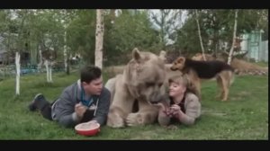 Друзья