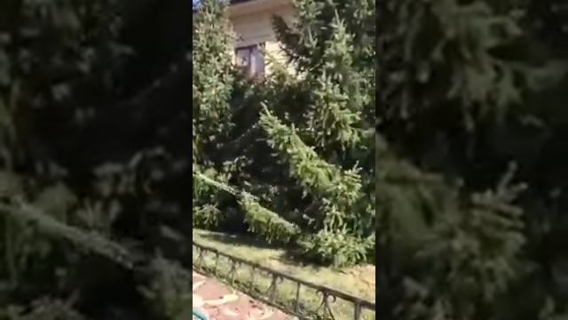 Суды үнемдеу жолдары