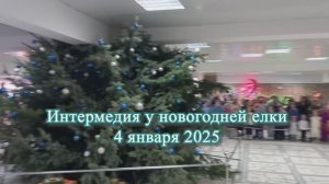 2025.01.04 Интермедия у новогодней елки