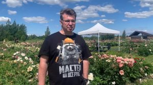 Цветение пионов в нашем питомнике. Отзывы (2я часть). Пулков сад , 2024 г.