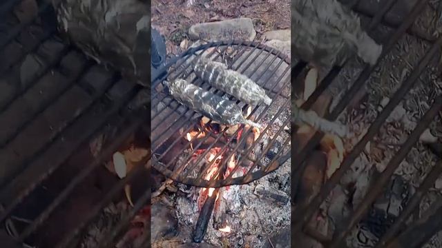 Шашлык машлык #shorts #short