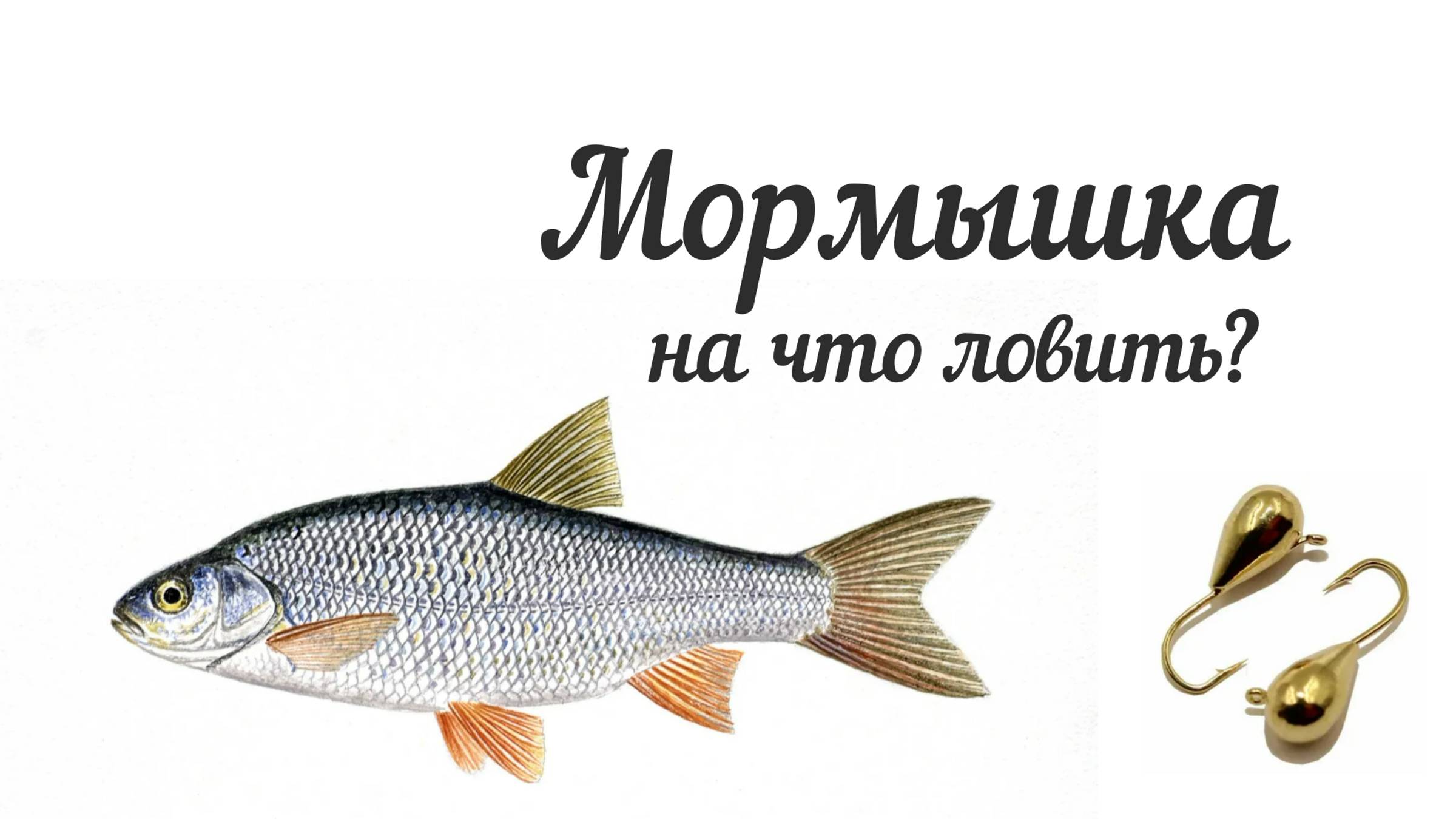 Мормышка. На что  ловить?