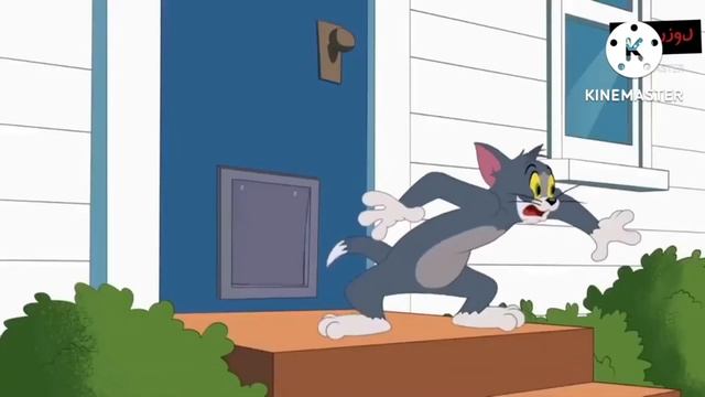 tom and jerry|tom#jerry videos#funnyvideos смотреть онлайн