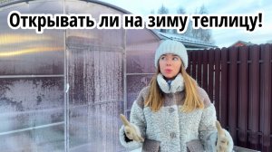 Есть ли смысл открывать теплицу зимой? Не боитесь, что двери оторвет?