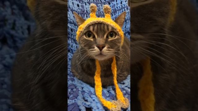 Вяжем. Шапочка с рожками жирафа