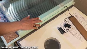 ИНКУБАЦИЯ ЯИЦ ЮЖНОАФРИКАНСКОГО СТРАУСА / РЕЖИМ ИНКУБАЦИИ / ЗАКЛАДКА