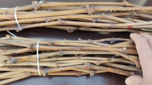 КИШМИШ ИРИСКА! 🍇🍇🍇 НАЛИЧИЕ ЛОЗЫ! Telegram, WhatsApp и Viber +79528500417.ТЕЛ.+79054033245.