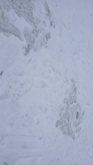 Рыбалка на жерлицы!