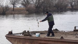 КРУПНАЯ ГУСТЕРА ПРЁТ! ДОСТАЮ ПО ТРИ ШТУКИ! НА ЯМЕ ВСЯ РЫБА. АСТРАХАНЬ, ЯНВАРЬ 2025.