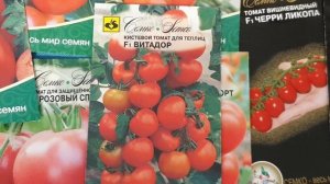 Идеальные и проверенные томаты для теплицы. Результат всегда гарантирован.