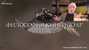Как изучают Книгу Зоар в ВебМидраше @LeviSheptovitsky