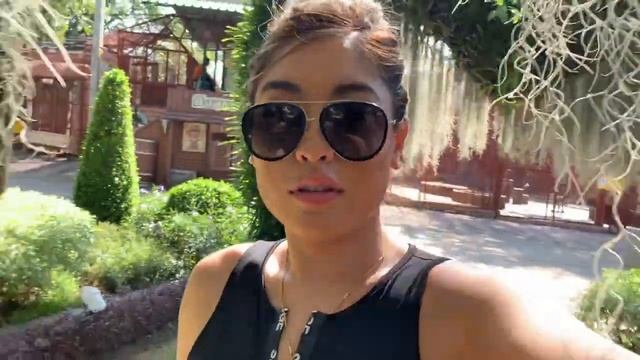 VLOG : PLAYING WITH BABY TIGERS IN THAILAND 🐯 | SRIRACHA TIGER ZOO | SAVVYSOPHIEE
