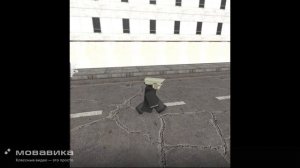 скибиди серия 1