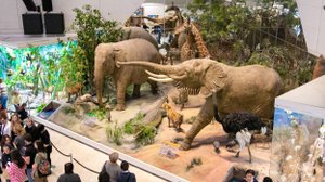 Дарвиновский музей.