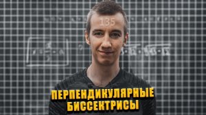 #135 БИССЕКТРИСЫ И ПЕРИМЕТР // УГЛЫ