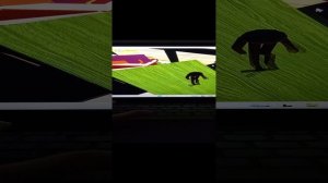 нахожу новогодние продукты в секрет staycation