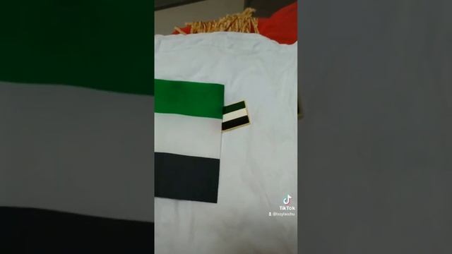 UAE flag day 🇦🇪November/3 /2022 #UAE national anthem смотреть онлайн