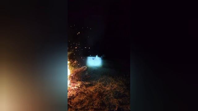 фидер fishing рыбалка река ночь лещ природа