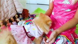 Бу-бу история от Мегги и Шанти