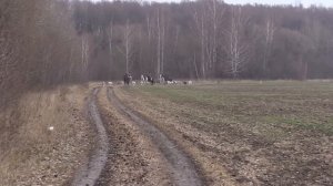 Охота в Тульской области 1 серия