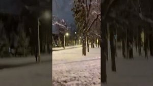 #трансляция #стрим #чат #веган #Москва #общение #знакомсива #новыйгод