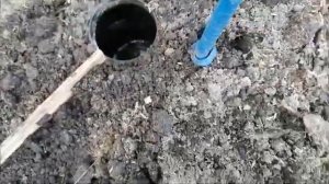КАК ИЗБАВИТЬСЯ ОТ МЕДВЕДКИ