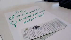 Информация о продаже на 2025г