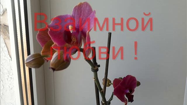 С Новым Годом !
