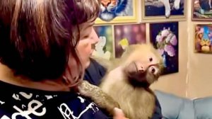 Маня ВСЕ ПОНИМАЕТ, что ей говорит мама,но делает вид что ее это не касается, а Кеша ХОХОЧЕТ в голос