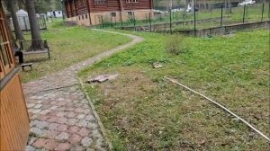 Ключевой   родниковый колодец