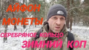 Находки зимнего леса