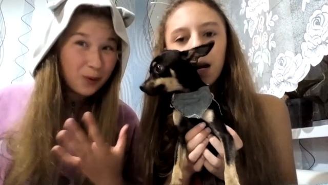 фруктовый лёд в домашних условиях