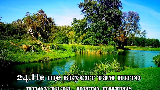 An-Naba - Ан-Наба - Sheikh Yasser Salamah смотреть онлайн