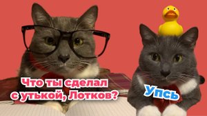 ЕСЛИ БЫ КОТЫ ХОДИЛИ В ШКОЛУ - ПИСЬМО ДЕДУ МОРОЗУ