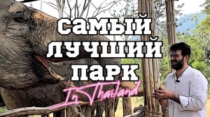 Парк слонов на Пхукете. Elephant Jungle Sanctuary Phuket.