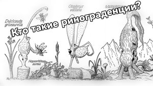 Кто такие ринограденции? Что у них с носами? Часть 1 | Спекулятивная биология