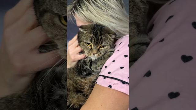 ЧЕССИ🐯ЖАЛУЕТСЯ НА ЖИЗНЬ
