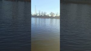 рыбалка Астрахань