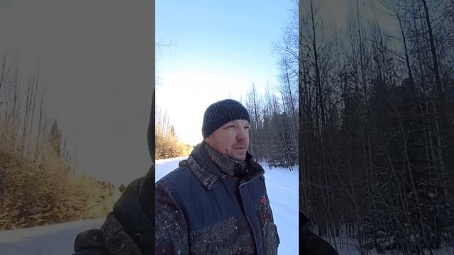 Застрял с семьёй в лесу  #shorts  #short