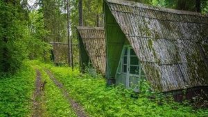 Заброшенный летний домик