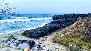 ТАКОЙ СВЕТЛОГОРСК ЕЩЕ НИКТО НЕ ПОКАЗЫВАЛ. МЫ ШОКИРОВАНЫ. Показываем всю ПРАВДУ.