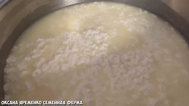 Как сделать сыр качотта / Очень простой и вкусный рецепт / Пластичный, легко плавится