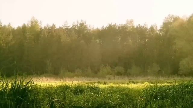 СЕМЕЙКА ЗАВИСИМЫХ. VREDINA LIFE. ОБЗОР. смотреть онлайн