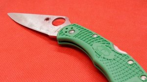 Spyderco Delica 4 | Torture Test/ Review
