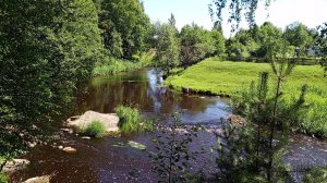 Звуки природы