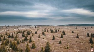 7 секретов покрасить видео с дрона